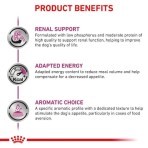 ROYAL CANIN VETERINARY DIET RENAL SPECIAL ADULT DOG LOAF CAN 410gr ROYAL CANIN VETERINARY DIET RENAL SPECIAL ADULT DOG LOAF CAN 410gr