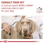 ROYAL CANIN VETERINARY DIET RENAL SPECIAL ADULT DOG LOAF CAN 410gr ROYAL CANIN VETERINARY DIET RENAL SPECIAL ADULT DOG LOAF CAN 410gr
