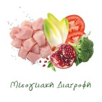 EXCLUSION MEDITERRANEO NOBLE GRAIN CHICKEN MATURE DOG SMALL BREEDS 2kg