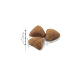 ROYAL CANIN INDOOR27 ADULT CAT 400gr