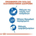 ROYAL CANIN INDOOR27 ADULT CAT 400gr