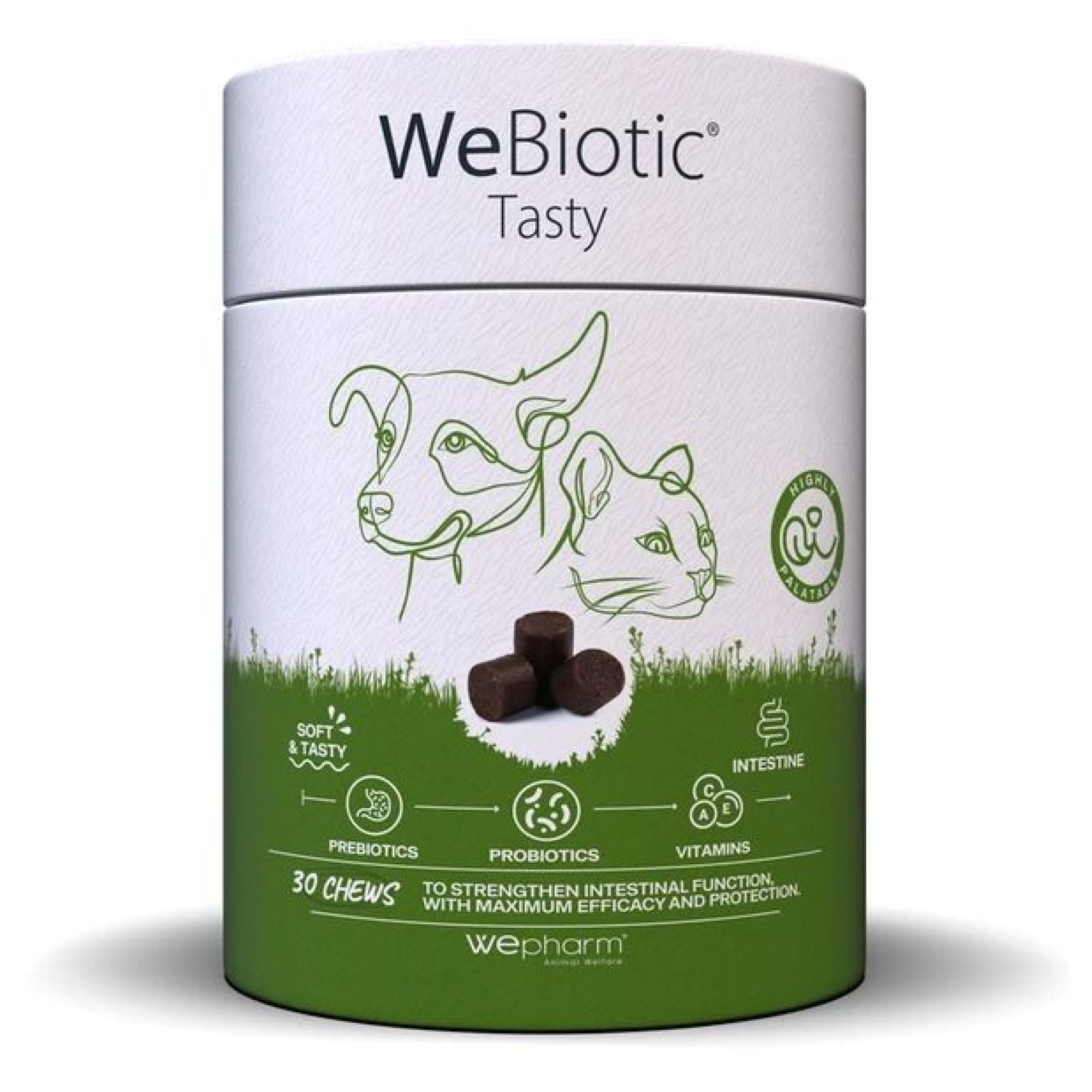 WEPHARM WEBIOTIC TASTY ΣΥΜΠΛΗΡΩΜΑ ΔΙΑΤΡΟΦΗΣ ΓΙΑ ΤΟ ΠΕΠΤΙΚΟ ΓΙΑ ΣΚΥΛΟΥΣ ΚΑΙ ΓΑΤΕΣ 30 CHEWS