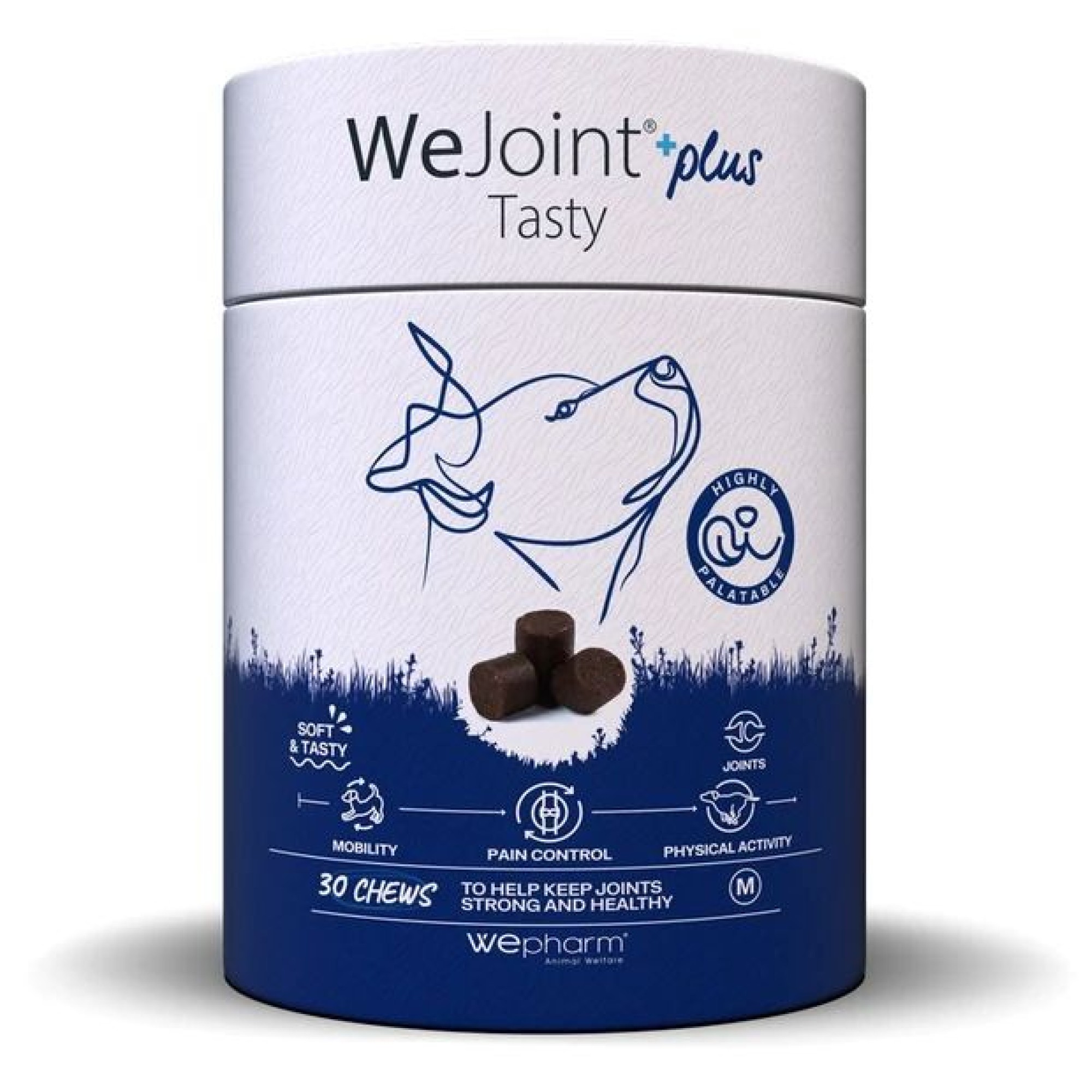 WEPHARM WEJOINT PLUS TASTY MEDIUM ΣΥΜΠΛΗΡΩΜΑ ΔΙΑΤΡΟΦΗΣ ΣΚΥΛΟΥ ΓΙΑ ΑΡΘΡΩΣΕΙΣ 30 CHEWS