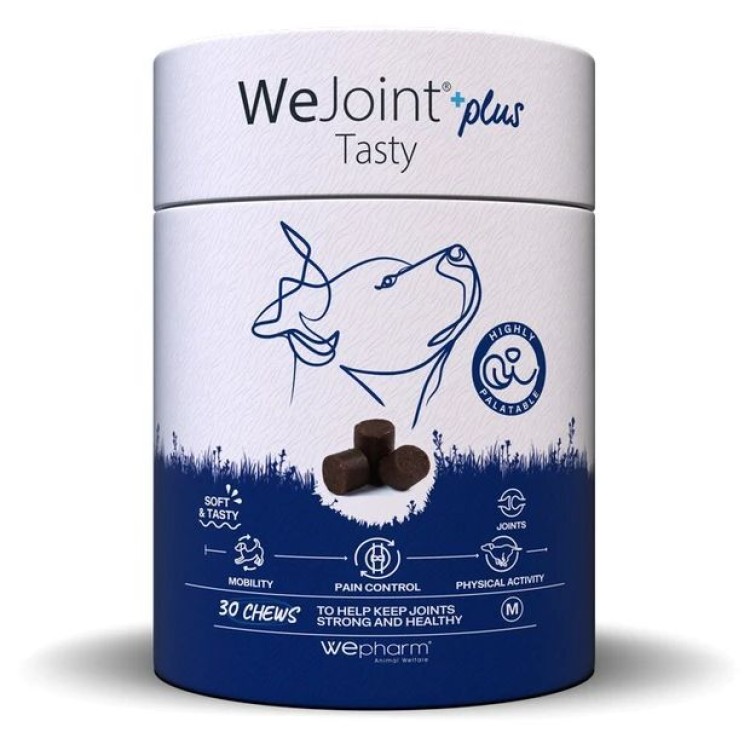 WEPHARM WEJOINT PLUS TASTY MEDIUM ΣΥΜΠΛΗΡΩΜΑ ΔΙΑΤΡΟΦΗΣ ΣΚΥΛΟΥ ΓΙΑ ΑΡΘΡΩΣΕΙΣ 30 CHEWS