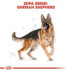 ROYAL GERMAN SHEPHERD ADULT DOG 11kg