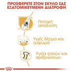 ROYAL GERMAN SHEPHERD ADULT DOG 11kg