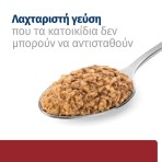 HILL'S PRESCRIPTION DIET i/d DIGESTIVE CARE WET FOOD FOR DOGS 360gr