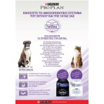 PURINA PRO PLAN FORTIFLORA CANINE PROBIOTIC 30pcs