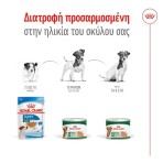ROYAL CANIN ADULT DOG LOAF CAN MINI 195gr ROYAL CANIN ADULT DOG LOAF CAN MINI 195gr