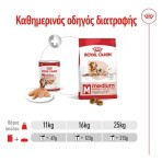 ROYAL CANIN MEDIUM AGEING DOG LOAF CAN 410gr