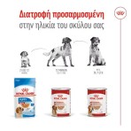 ROYAL CANIN MEDIUM AGEING DOG LOAF CAN 410gr