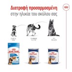 ROYAL CANIN MAXI ADULT DOG LOAF CAN 410gr
