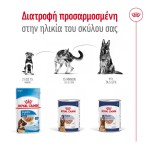 ROYAL CANIN MAXI AGEING DOG LOAF CAN 410gr