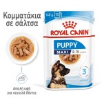 ROYAL CANIN PUPPY DOG MAXI CHUNKS IN GRAVY POUCH 140gr