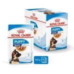 ROYAL CANIN PUPPY DOG MAXI CHUNKS IN GRAVY POUCH 140gr