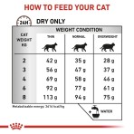 ROYAL CANIN VETERINARY DIET GASTROINTESTINAL HAIRBALL ADULT CAT 4kg