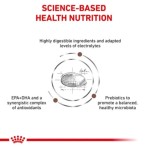 ROYAL CANIN VETERINARY DIET GASTROINTESTINAL MODERATE CALORIE ADULT CAT 2kg