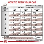 ROYAL CANIN VETERINARY DIET GASTROINTESTINAL MODERATE CALORIE ADULT CAT 2kg