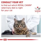 ROYAL CANIN VETERINARY DIET GASTROINTESTINAL MODERATE CALORIE ADULT CAT 2kg