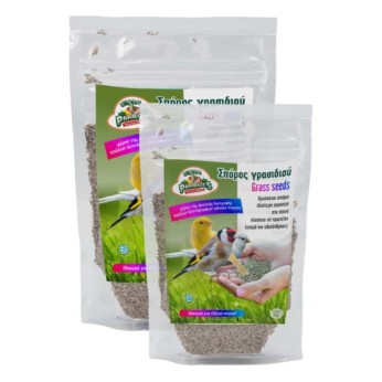 EVIA PARROTS ΣΠΟΡΟΙ ΓΡΑΣΙΔΙΟΥ ΓΙΑ ΟΛΑ ΤΑ ΛΕΠΤΟΡΑΜΦΑ ΩΔΙΚΑ ΠΤΗΝΑ 60gr EVIA PARROTS ΣΠΟΡΟΙ ΓΡΑΣΙΔΙΟΥ ΓΙΑ ΟΛΑ ΤΑ ΛΕΠΤΟΡΑΜΦΑ ΩΔΙΚΑ ΠΤΗΝΑ 60gr