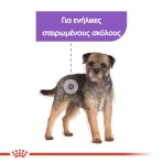 ROYAL CANIN STERILISED MINI ADULT DOG 8kg ROYAL CANIN STERILISED MINI ADULT DOG 8kg