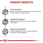 ROYAL CANIN VETERINARY DIET GASTROINTESTINAL FIBRE RESPONSE ADULT CAT CHUNKS IN GRAVY POUCH 85gr ROYAL CANIN VETERINARY DIET GASTROINTESTINAL FIBRE RESPONSE ADULT CAT CHUNKS IN GRAVY POUCH 85gr