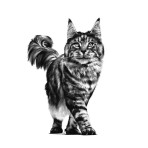 ROYAL CANIN VETERINARY DIET GASTROINTESTINAL FIBRE RESPONSE ADULT CAT CHUNKS IN GRAVY POUCH 85gr ROYAL CANIN VETERINARY DIET GASTROINTESTINAL FIBRE RESPONSE ADULT CAT CHUNKS IN GRAVY POUCH 85gr