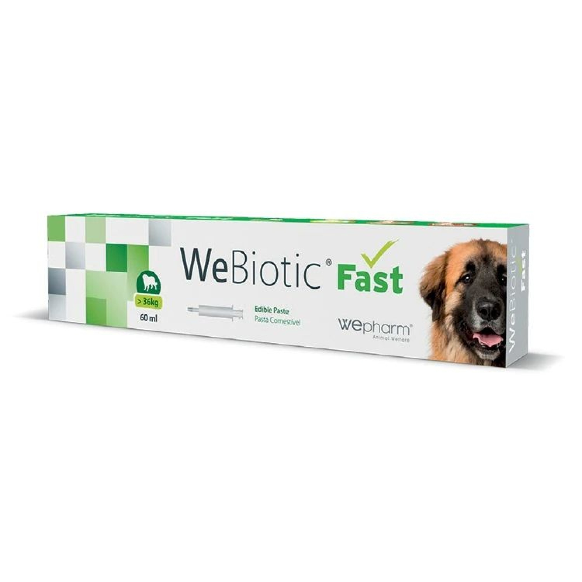 WEPHARM WEBIOTIC FAST LARGE BREEDS ΑΝΤΙΔΙΑΡΡΟΙΚΟ ΣΕ ΠΑΣΤΑ ΓΙΑ ΣΚΥΛΟ 60ml