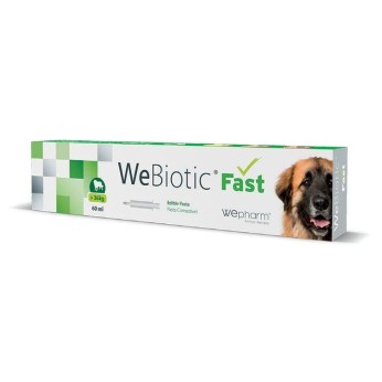 WEPHARM WEBIOTIC FAST LARGE BREEDS ΑΝΤΙΔΙΑΡΡΟΙΚΟ ΣΕ ΠΑΣΤΑ ΓΙΑ ΣΚΥΛΟ 60ml