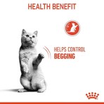 ROYAL CANIN APPETITE CONTROL CARE ADULT CAT 400gr