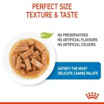 ROYAL CANIN PUPPY DOG MAXI CHUNKS IN GRAVY POUCH 10x140gr