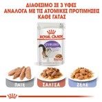 ROYAL CANIN ADULT CAT STERILISED THIN SLICES IN GRAVY POUCH 12x85gr