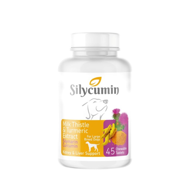 BIO PETACTIVE ΣΥΜΠΛΗΡΩΜΑ ΔΙΑΤΡΟΦΗΣ ΣΚΥΛΟΥ SILYCUMIN ΜΕ ΓΑΙΔΟΥΡΑΓΚΑΘΟ ΚΑΙ ΚΟΥΡΚΟΥΜΑ 45TABS