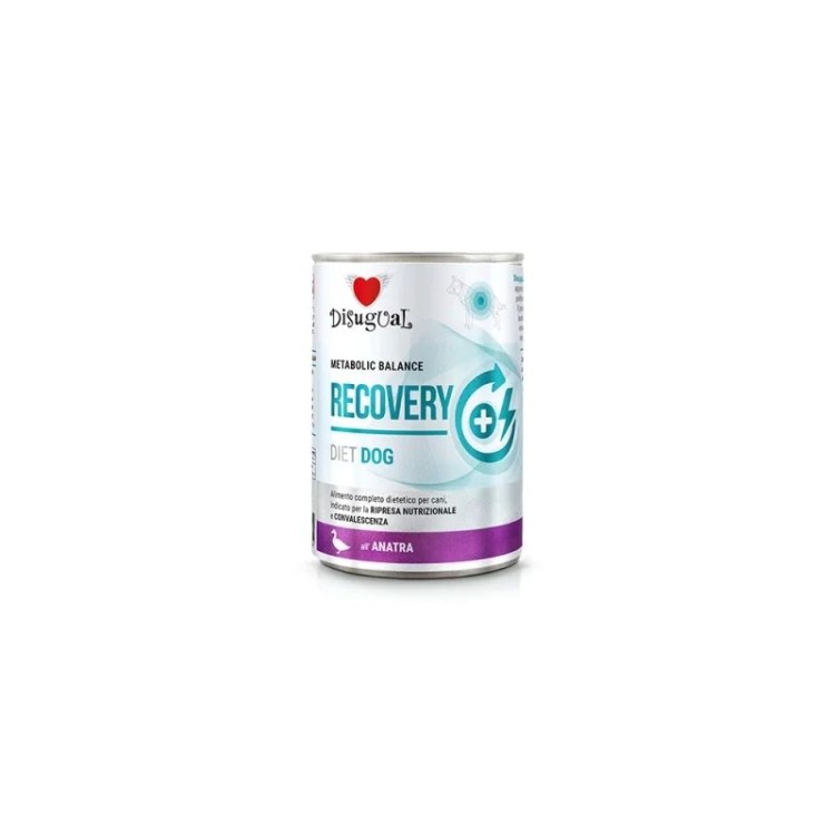 DISUGUAL DIET ADULT DOG RECOVERY WET FOOD ΠΑΠΙΑ 400gr
