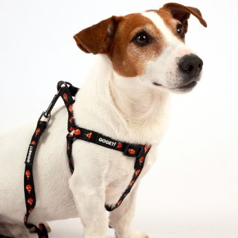 GO GET ΣΑΜΑΡΑΚΙ ΣΚΥΛΟΥ ΤΥΠΟΥ Α CLOWNFISH SMALL 1.5 x 35 ΕΩΣ 50CM