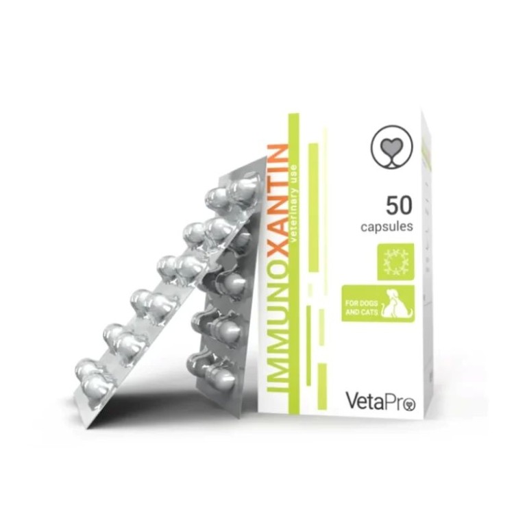 VETA PRO IMMUNO ΣΥΜΠΛΗΡΩΜΑ ΔΙΑΤΡΟΦΗΣ ENIΣΧΥΣΗΣ ΑΝΟΣΟΠΟΙΗΤΙΚΟΥ ΣΚΥΛΟΥ ΚΑΙ ΓΑΤΑΣ 60 ΚΑΨΟΥΛΕΣ