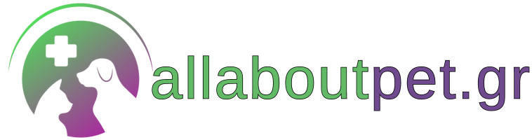 All about pet All about pet